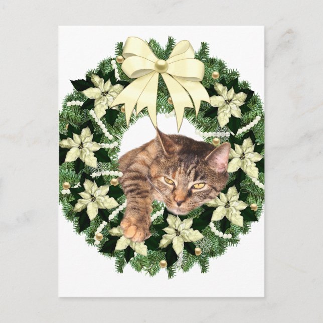 Brown tabby Christmas Feiertagspostkarte (Vorderseite)