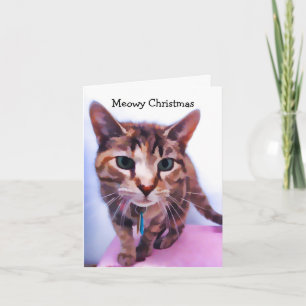 Brown Tabby Karte