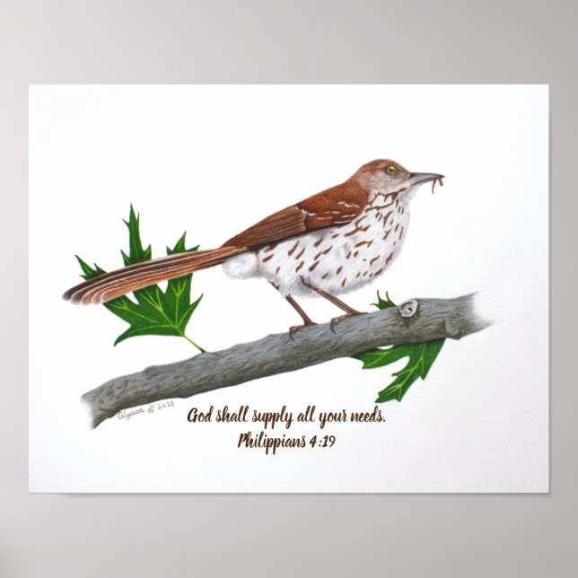 Brown Thrasher 14x11 Inspiration Print Poster (Vorne)
