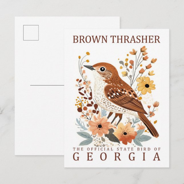 Brown Thrasher Bird of Georgia USA Travel Postkarte (Vorne/Hinten)