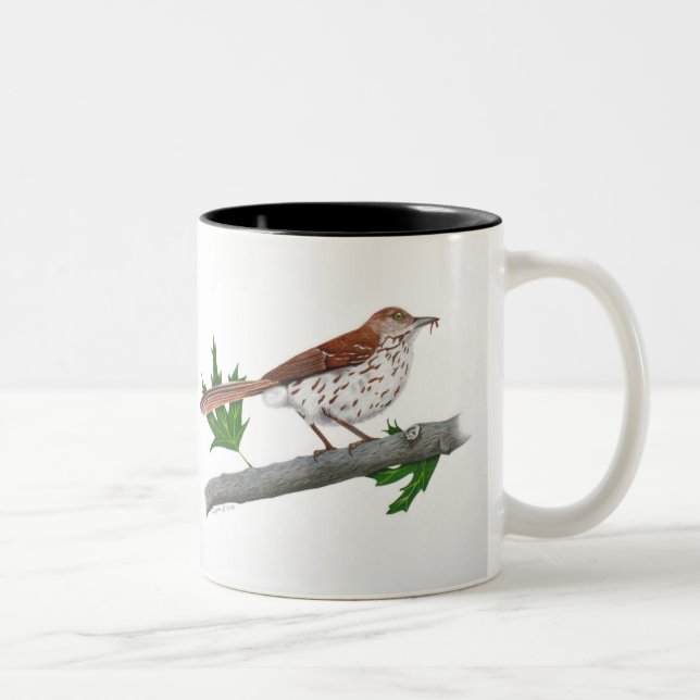 Brown Thrasher Inspiration Tasse (Rechts)