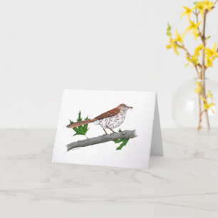 Brown Thrasher Inspirational Grußkarte Karte