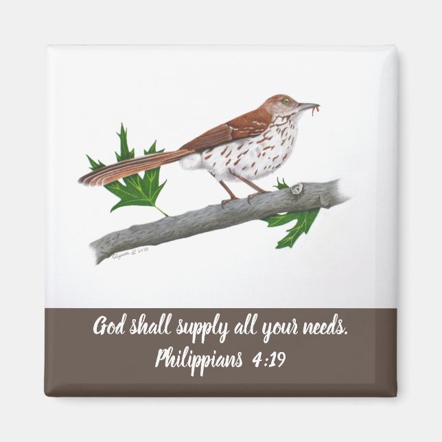 Brown Thrasher Magnet inspirant (Devant)