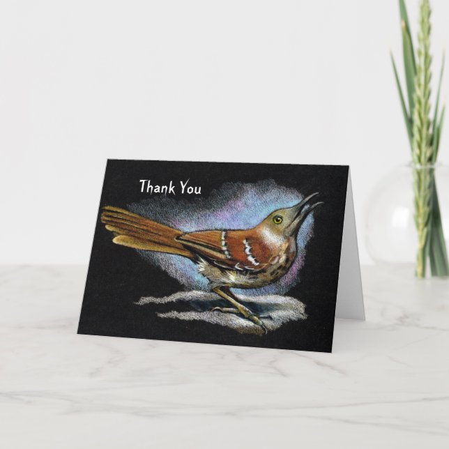 Brown Thrasher: Vogel: Tier-Kunst: Danke (Vorderseite)