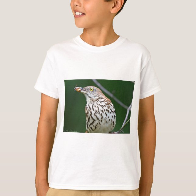 Brown Thrasher w/Catch of the Day Geschenke Beklei T-Shirt (Vorderseite)