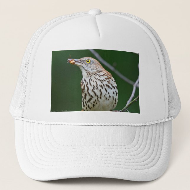 Brown Thrasher w/Catch of the Day Geschenke Beklei Truckerkappe (Vorderseite)