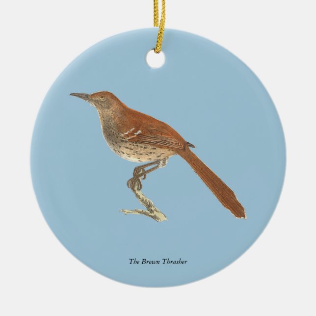 Brown Thrush oder Brown Thrasher, New Yorker Vögel Keramik Ornament (Vorne)