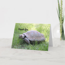 Brown Tortoise Dankeschön Karte