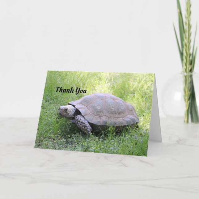 Brown Tortoise Dankeschön Karte (Vorderseite)