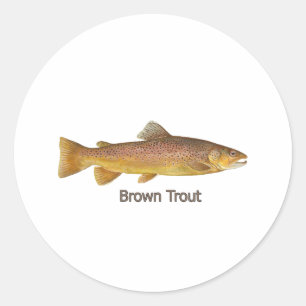 Brown Trout Runder Aufkleber