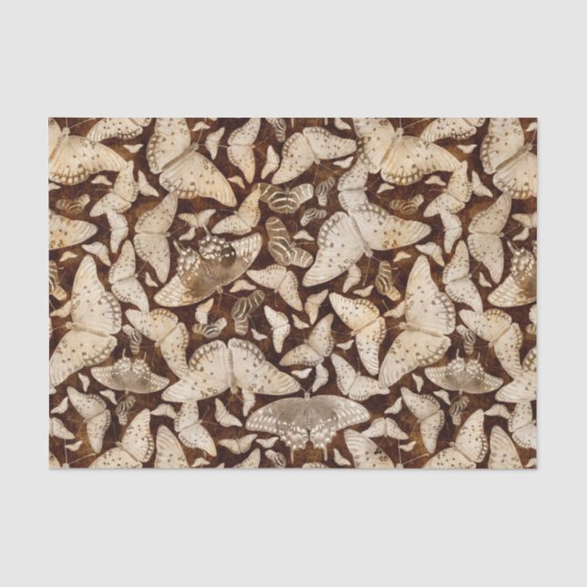 Brown und beige Schmetterlinge Seidenpapier (Vorderseite)