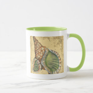 Brown und grüner Seashell Tasse