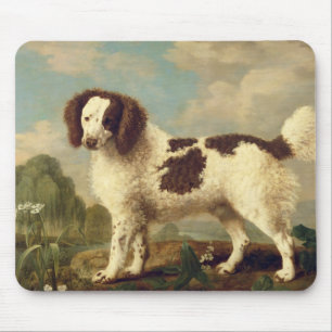 Brown und weißer Norfolk oder WasserSpaniel, 1778 Mousepad