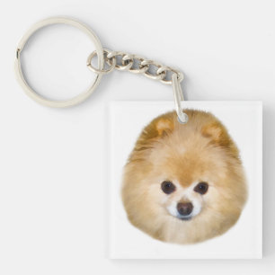 Brown und weißer Spitz-Hund Schlüsselanhänger