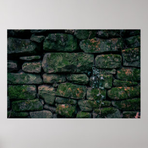 Brown Vines on Stacked Blocks Poster