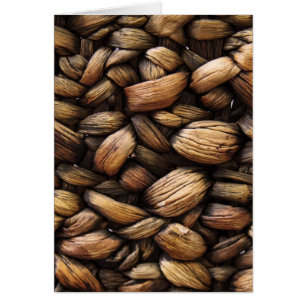 Brown Walnut Muscheln