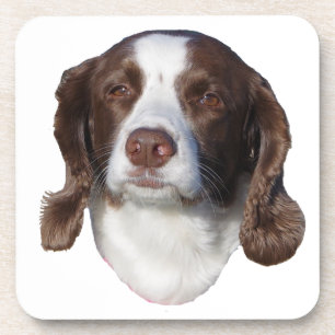 Brown & White Dog Set von 6 harten Untersetzer aus