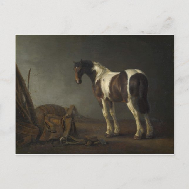 Brown & White Horse Postkarte (Vorderseite)