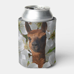 Brown Young Alpaca in White Blume, Dosenkühler