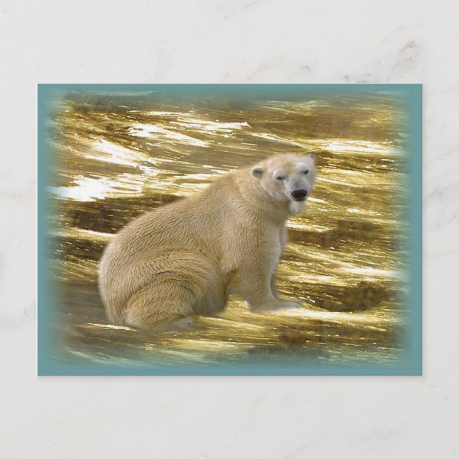 Brrr.....Postkarte Postkarte (Vorderseite)