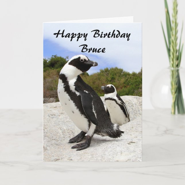 Bruce Happy Birthday African Penguins Spaß Card Karte (Vorderseite)