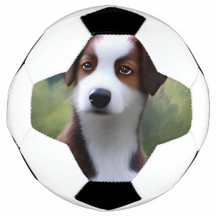 Bruce the Border Collie Puppy, Soccerball Fußball