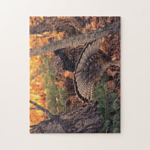 Bruchhuhn