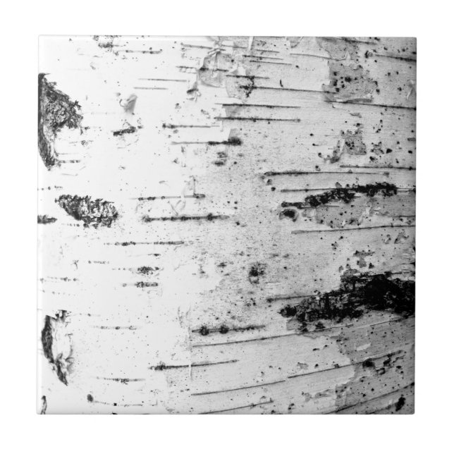 Bruchstamm Fliese (Vorderseite)