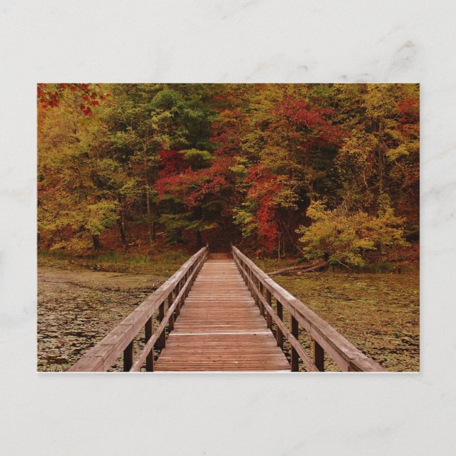 Brücke am Bays Mounatin Postkarte (Vorderseite)