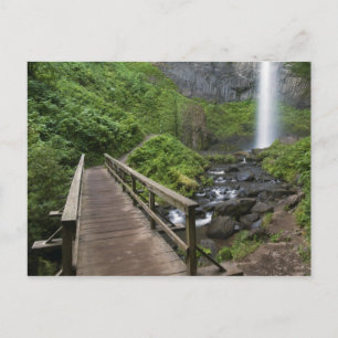 Brücke bei Latourell Falls, Columbia River Gorge, Postkarte