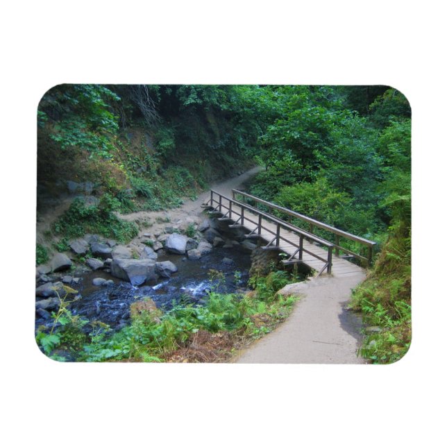 Brücke bei Latourell Falls, Oregon Magnet (Horizontal)