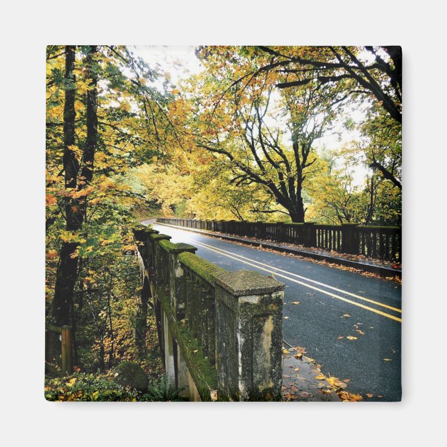 Brücke bei Latourell Falls, Oregon Magnet (Vorne)