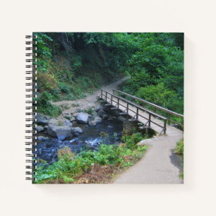 Brücke bei Latourell Falls, Oregon Notizbuch