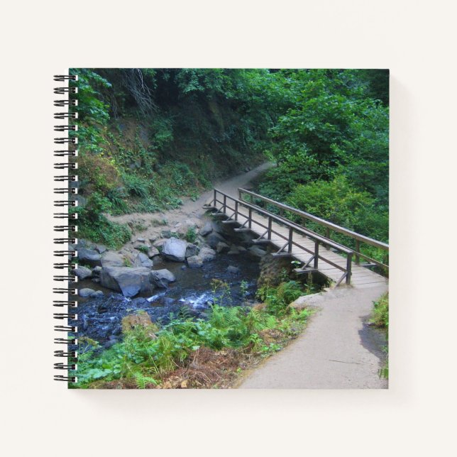 Brücke bei Latourell Falls, Oregon Notizbuch (Vorderseite)