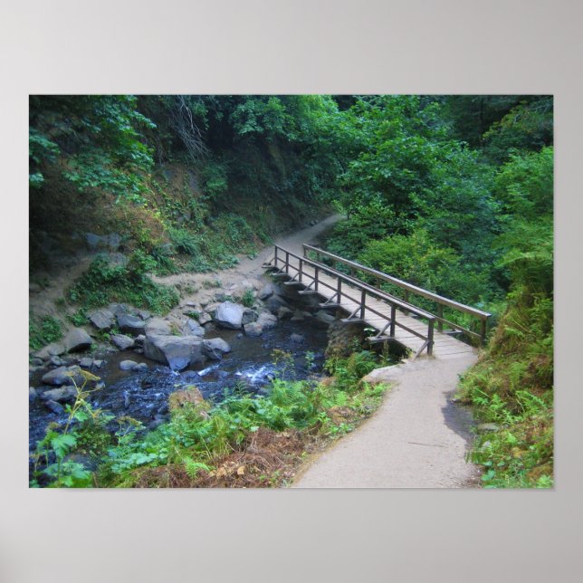 Brücke bei Latourell Falls, Oregon Poster (Vorne)