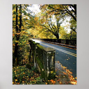Brücke bei Latourell Falls, Oregon Poster
