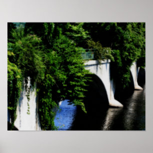 Brücke der Blume Shelburne Falls Massachusetts Poster