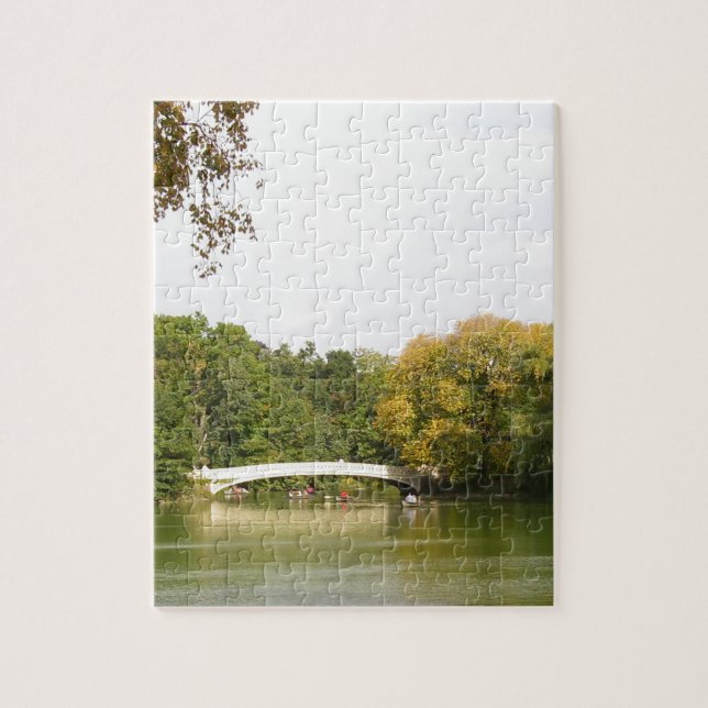 Brücke im Central Park, New York City (Vertikal)