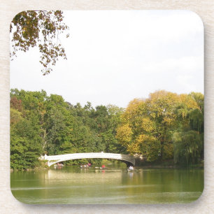 Brücke im Central Park, New York City Untersetzer