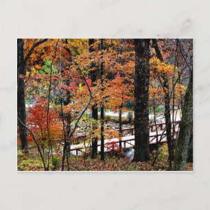 Brücke im Herbst mit herbstlichen Baumblättern / L Postkarte
