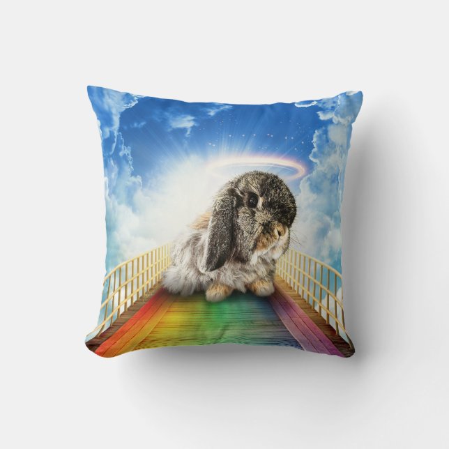 Brücke mit vielen Farben Kissen (Vorderseite)
