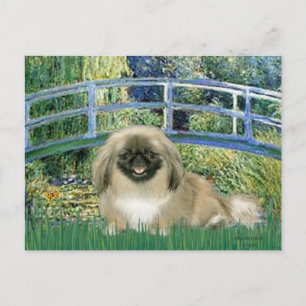 Brücke - Pekingese 1b Postkarte