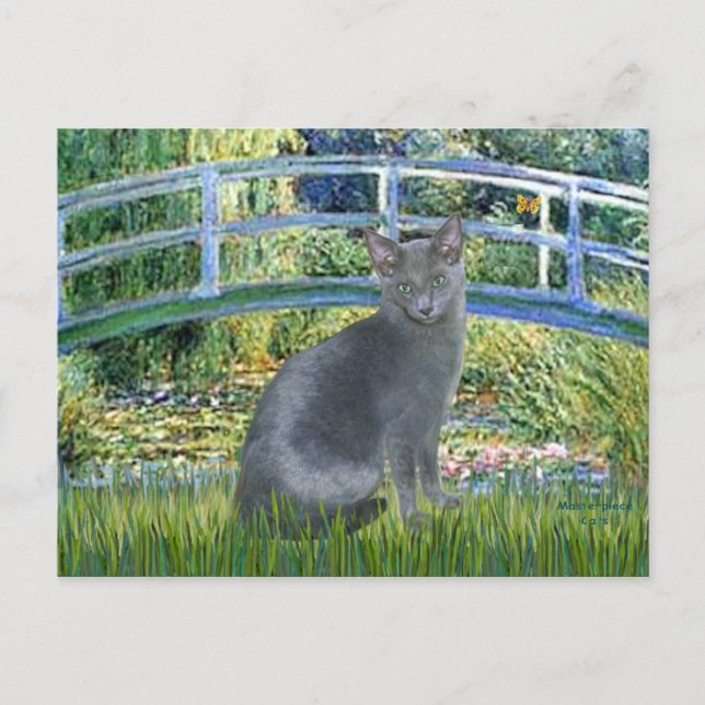 Brücke - Russische Blaue Katze 2 Postkarte (Vorderseite)