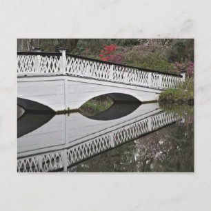 Brücke spiegelt sich im Teich, Magnolie Postkarte