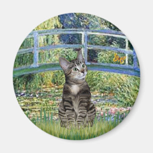 Brücke - Tabby-Tigerkatze 31 Magnet