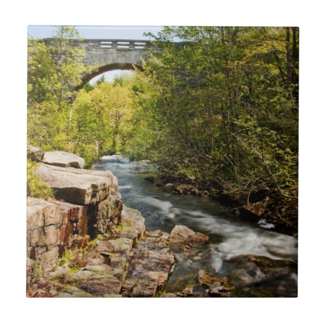 Brücke über Fluss Fliese (Vorderseite)