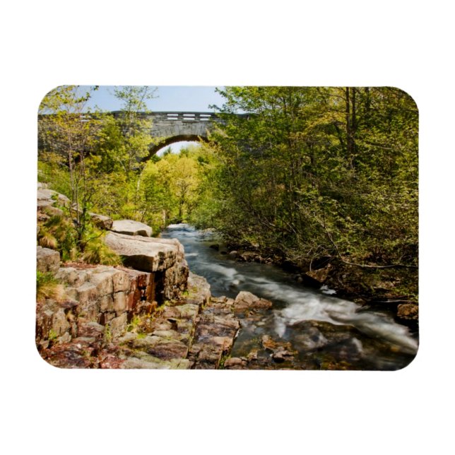 Brücke über Fluss Magnet (Horizontal)