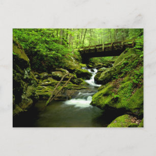 Brücke über Roaring Fork Postkarte