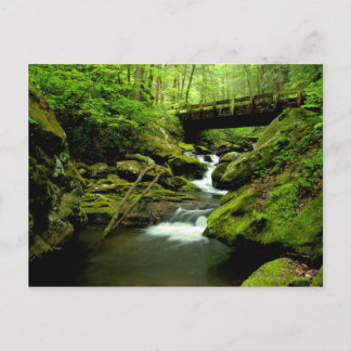 Brücke über Roaring Fork Postkarte