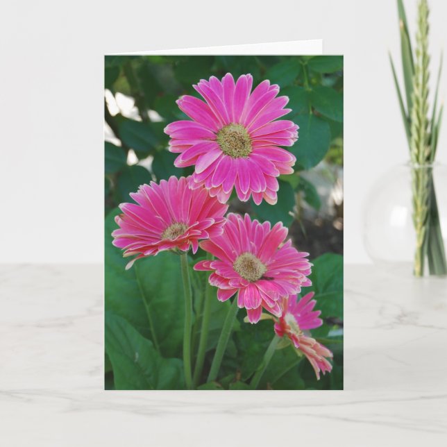 Brücke von Blume - Notizkarte von Daisies Karte (Vorderseite)